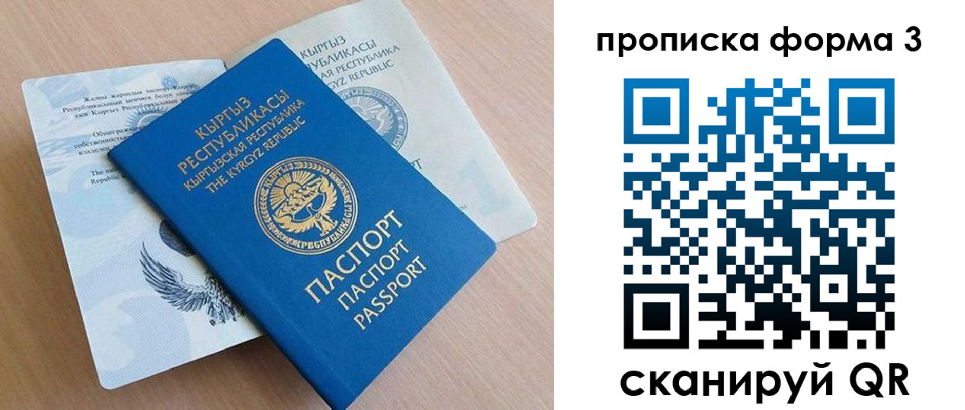где прописаться в Калининградской области