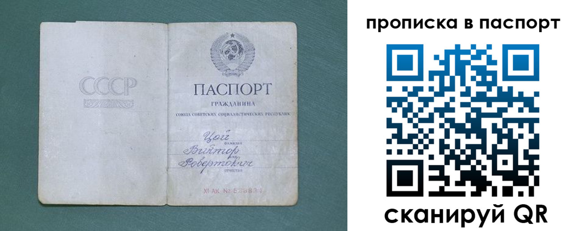 пропишу в квартире в Калининградской области